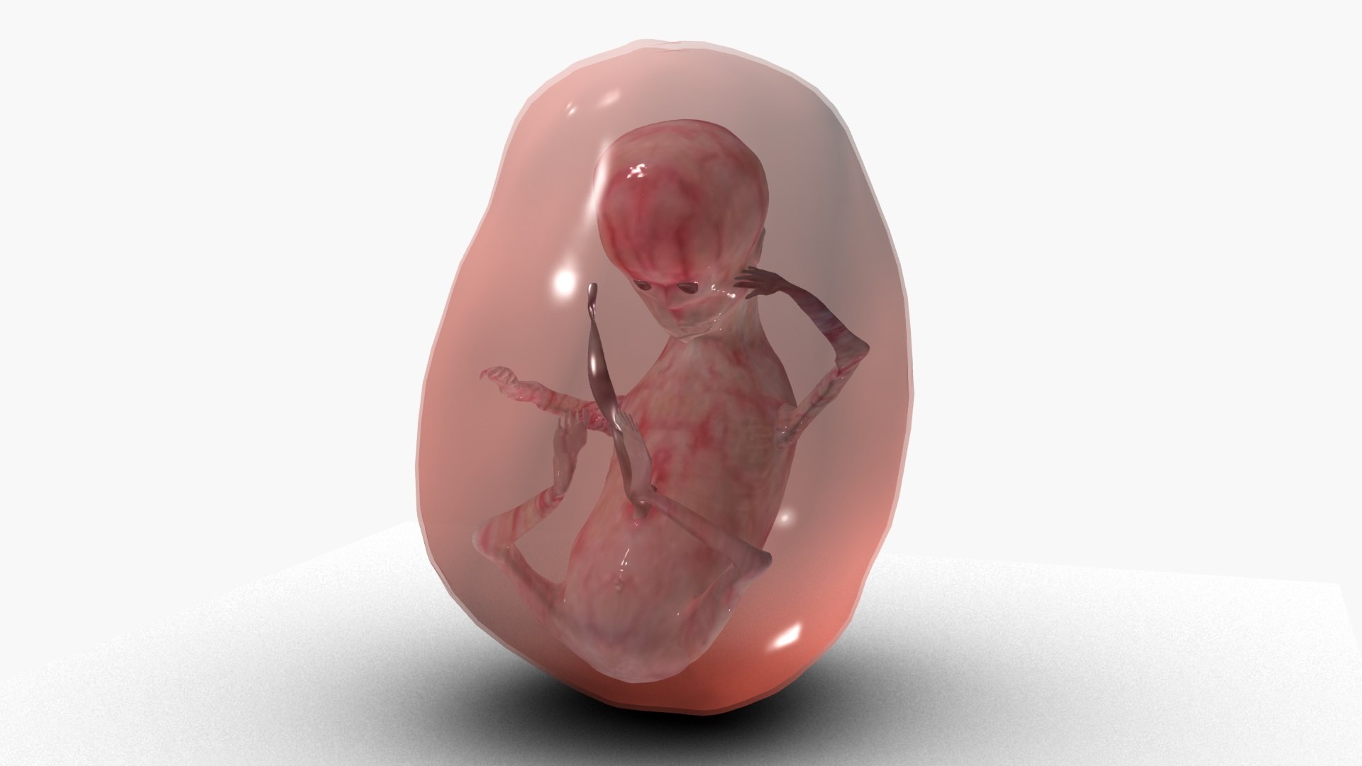 3D model Fetus https://p.turbosquid.com/ts-thumb/FB/IAKQi9/1n/ps2/jpg/1663739045/1920x1080/fit_q87/56c70a3315342edaeec1d4e126bf9fda66892324/ps2.jpg