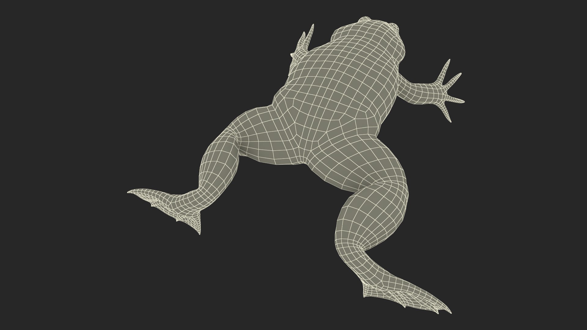 Xenopus African Clawed Toad Standard Pose model https://p.turbosquid.com/ts-thumb/FB/IzKNjP/SF/xenopusafricanclawedtoadstandardposevray3dmodel030/jpg/1696042169/1920x1080/fit_q87/0d4a9ba771cbacfebec64edce9b6e2ca633faabb/xenopusafricanclawedtoadstandardposevray3dmodel030.jpg