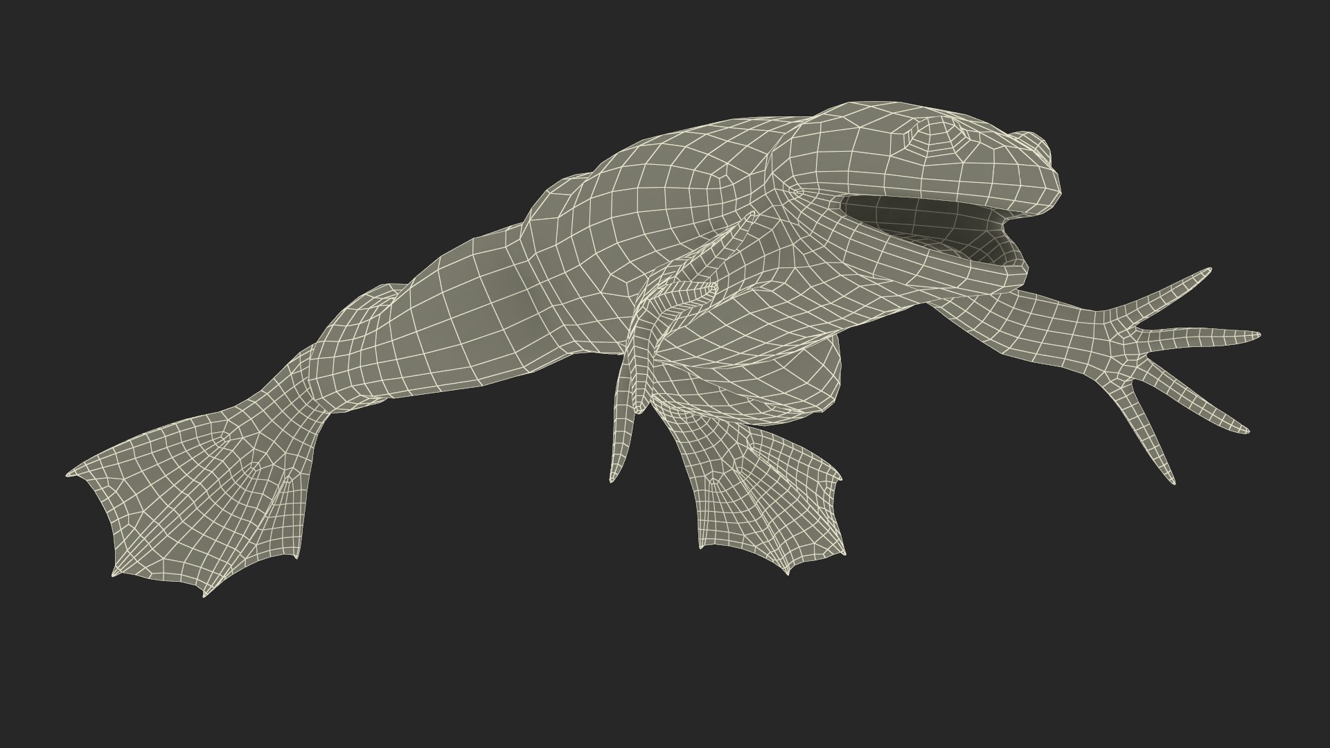 Xenopus African Clawed Toad Standard Pose model - TurboSquid 2133296