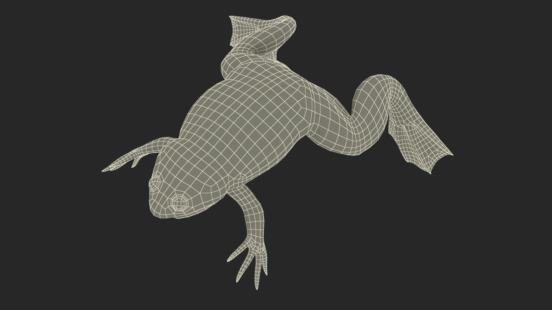 Xenopus African Clawed Toad Standard Pose model https://p.turbosquid.com/ts-thumb/FB/IzKNjP/vE/xenopusafricanclawedtoadstandardposevray3dmodel029/jpg/1696042165/1920x1080/fit_q87/759aafb709c8a46377b5b655104766efb2dcb1ba/xenopusafricanclawedtoadstandardposevray3dmodel029.jpg
