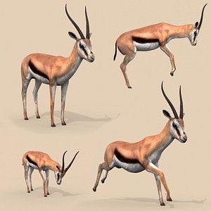 3D gazelle animation rig model