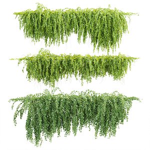 3D Hanging Plants for Wall Vol 396 model