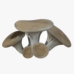 3D model Oyster