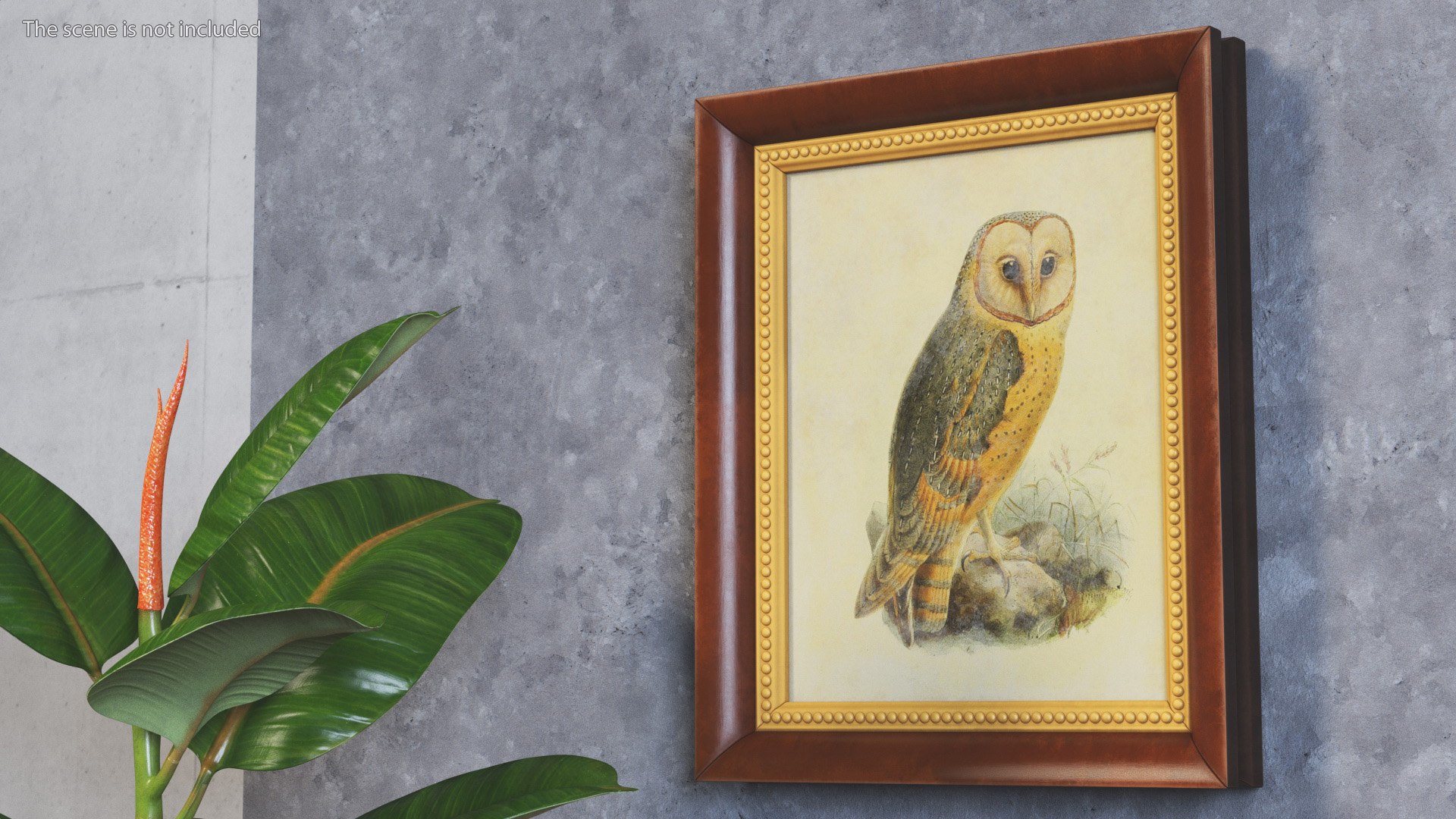3D Picture Frames Collection 4 https://p.turbosquid.com/ts-thumb/FB/k1JxXc/2U/pictureframescollection4vray3dmodel017/jpg/1672133445/1920x1080/fit_q87/2389d51e52e7d5ad083b80a93957f2e8d6d10464/pictureframescollection4vray3dmodel017.jpg