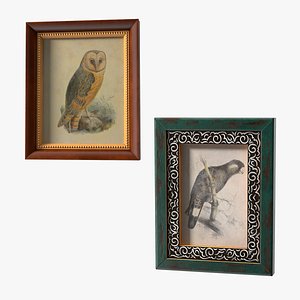 Picture Frames Collection 4