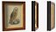 Picture Frames Collection 4