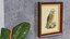 Picture Frames Collection 4