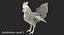 3d rooster rigged