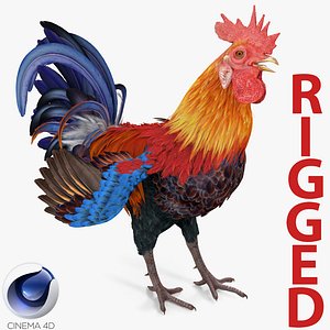 Rooster Rigged for Cinema 4D