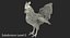 3d rooster rigged