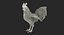 3d rooster rigged