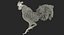 3d rooster rigged