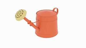 3D model orange watering
