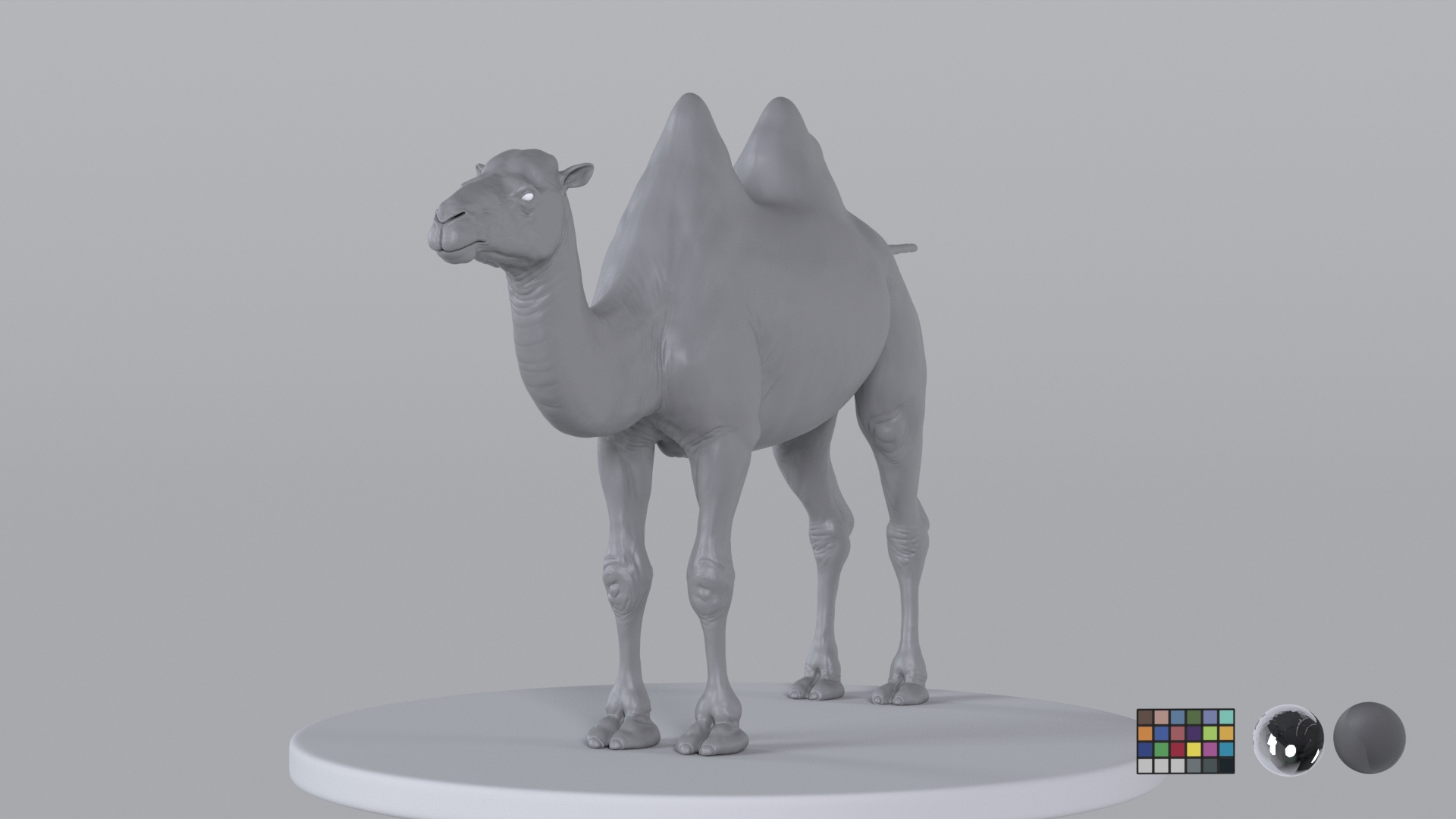 Camel model with muscles and skeleton 3D https://p.turbosquid.com/ts-thumb/FB/usiTV9/16/skin/png/1787499853/1920x1080/turn_fit_q99/9f0002f6cde52e6c242176bdb7949b373a2b4172/skin-1.jpg