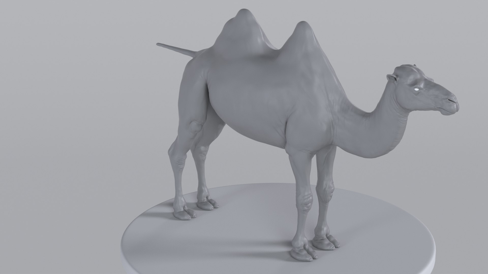 Camel model with muscles and skeleton 3D https://p.turbosquid.com/ts-thumb/FB/usiTV9/6H/camel_tt_0723/png/1787500274/1920x1080/fit_q87/d30c772e8809c513d71553a50725c5732bec7229/camel_tt_0723.jpg
