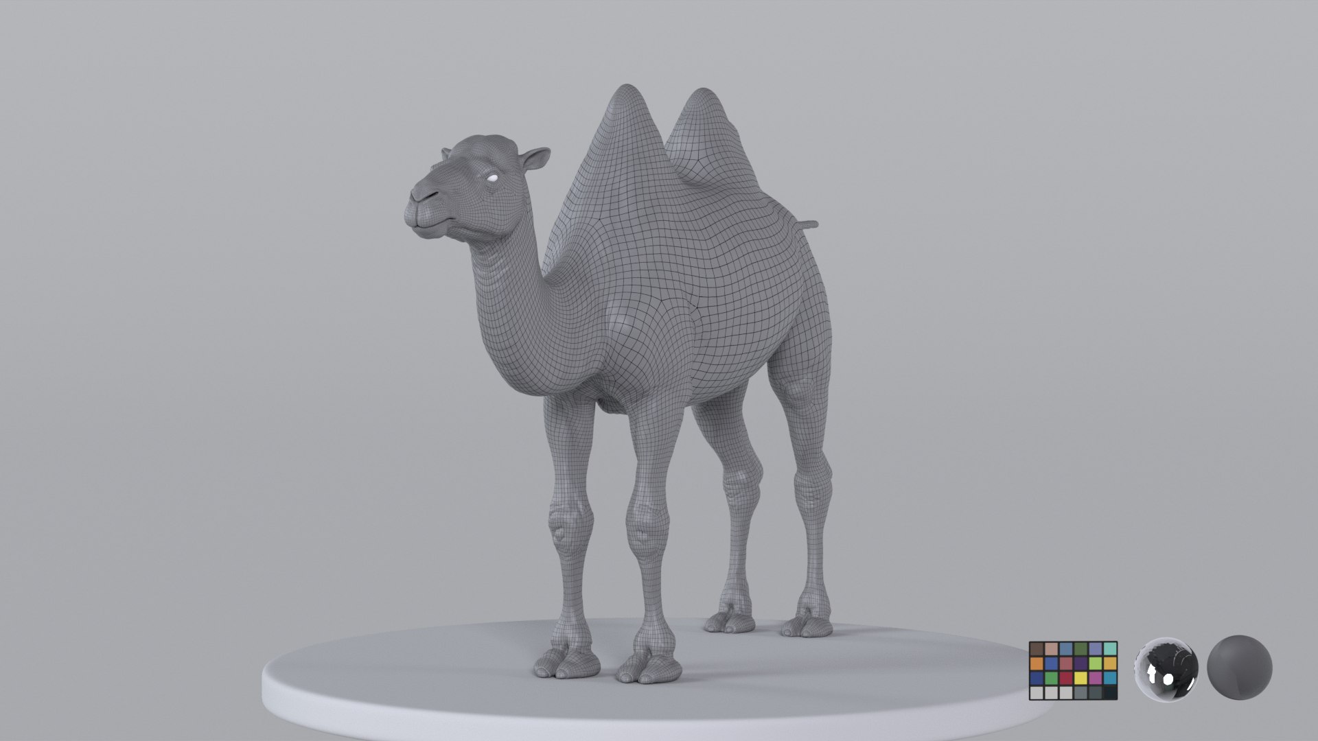 Camel model with muscles and skeleton 3D https://p.turbosquid.com/ts-thumb/FB/usiTV9/9f/camel_tt_0719/png/1787500855/1920x1080/fit_q87/f76253c471c8a9bae9ca273da9b228829bac2064/camel_tt_0719.jpg