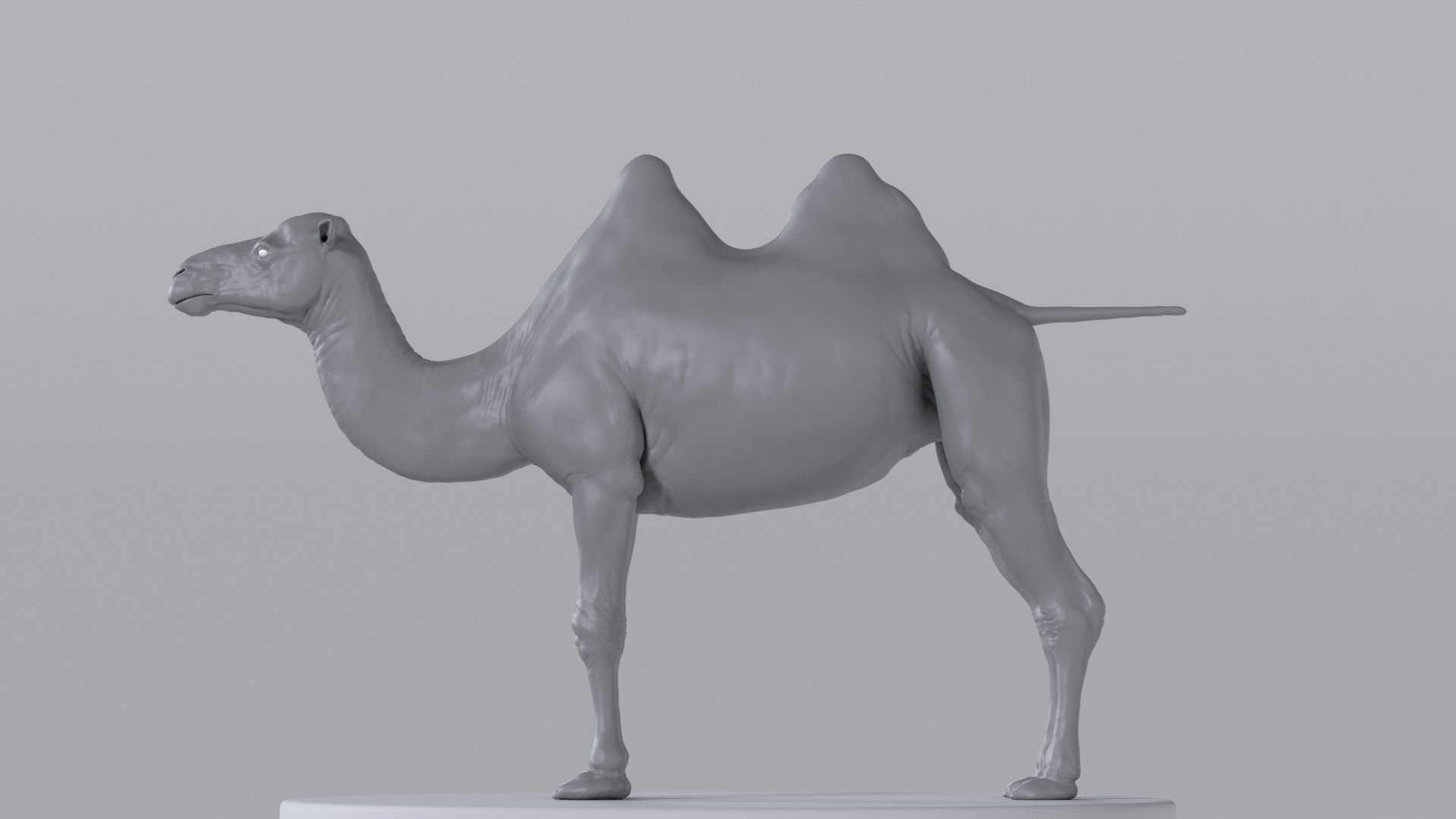 Camel model with muscles and skeleton 3D https://p.turbosquid.com/ts-thumb/FB/usiTV9/D0/camel_tt_0728/png/1787500276/1920x1080/fit_q87/84ea5b18f98e271e8dec36ee61102c2af7d8c131/camel_tt_0728.jpg