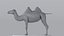 Maestro del modelado de camellos