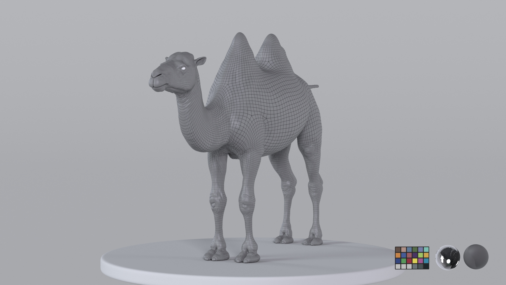 Camel model with muscles and skeleton 3D https://p.turbosquid.com/ts-thumb/FB/usiTV9/Q3/wire/png/1787499879/1920x1080/turn_fit_q99/ec5fc8ef5bcb0382dc4774ee4116c309fa156e47/wire-1.jpg