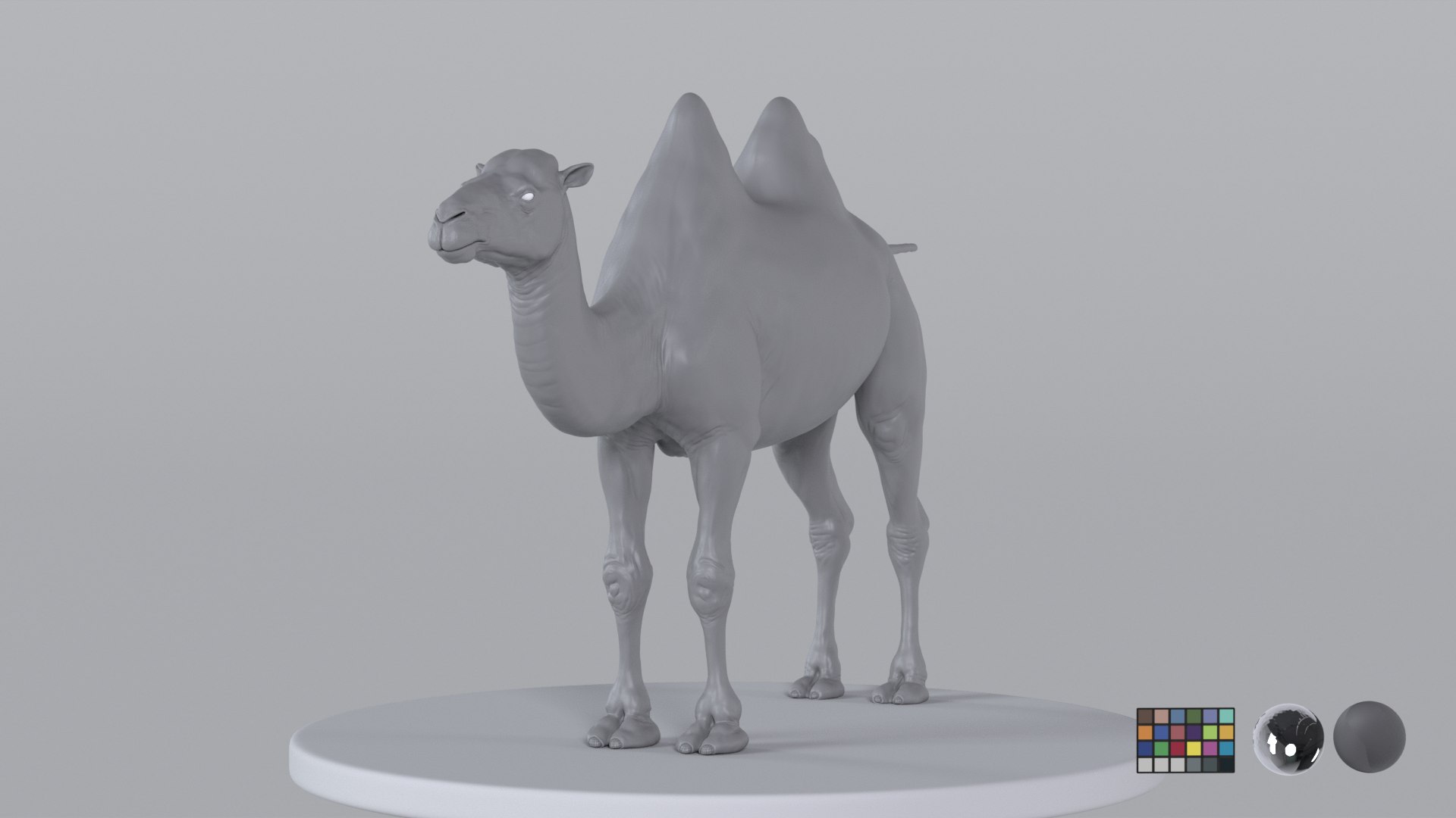 Camel model with muscles and skeleton 3D https://p.turbosquid.com/ts-thumb/FB/usiTV9/Wq/camel_tt_0720/png/1787500273/1920x1080/fit_q87/19c575d3e94ca7066cb2368bfadea956bdba095f/camel_tt_0720.jpg