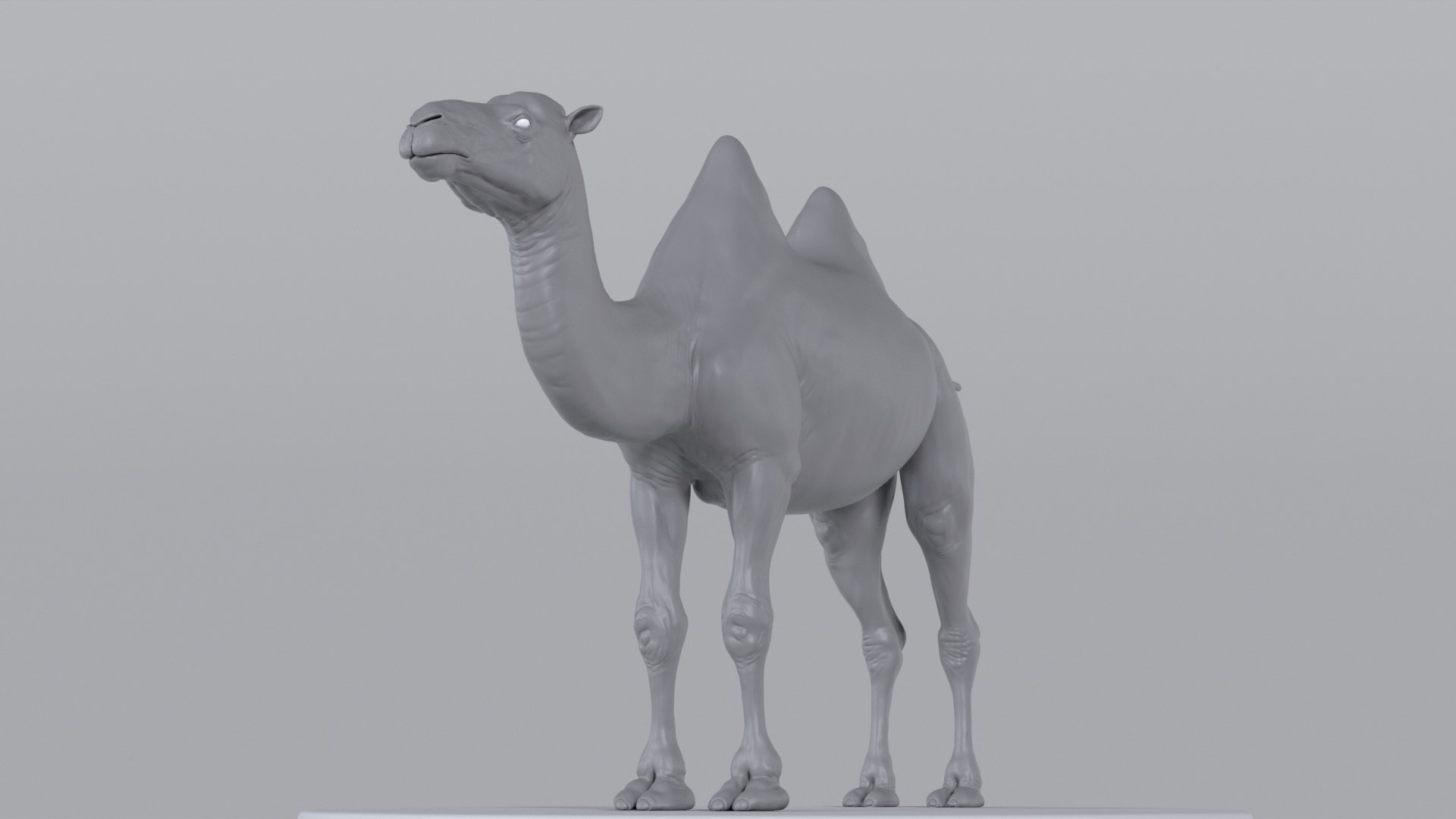 Camel model with muscles and skeleton 3D https://p.turbosquid.com/ts-thumb/FB/usiTV9/em/camel_tt_0730/png/1787499887/1920x1080/fit_q87/5a0b6dc3b6ea5a56373e386d3cad9d5109183a6b/camel_tt_0730.jpg