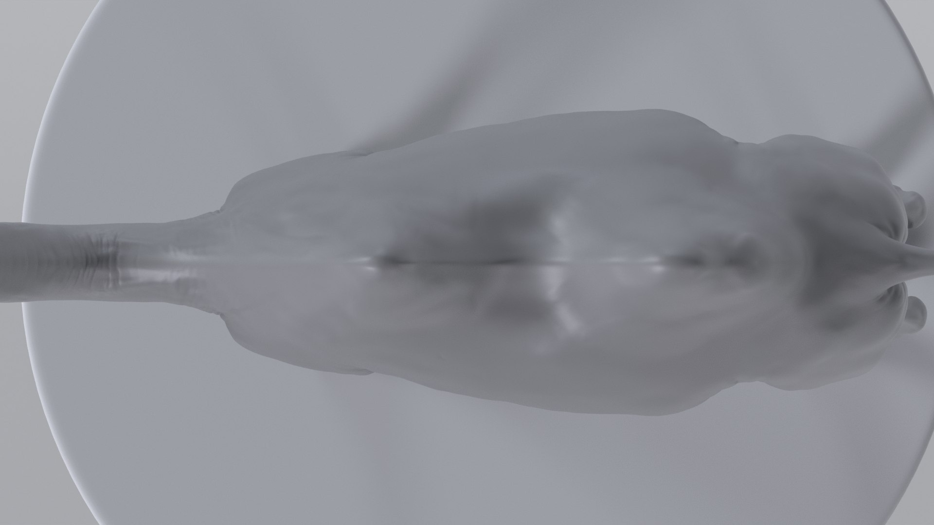 Camel model with muscles and skeleton 3D https://p.turbosquid.com/ts-thumb/FB/usiTV9/k3/camel_tt_0729/png/1787500273/1920x1080/fit_q87/c9df74b27d0aaad31bb1e4626d8d0592df562708/camel_tt_0729.jpg