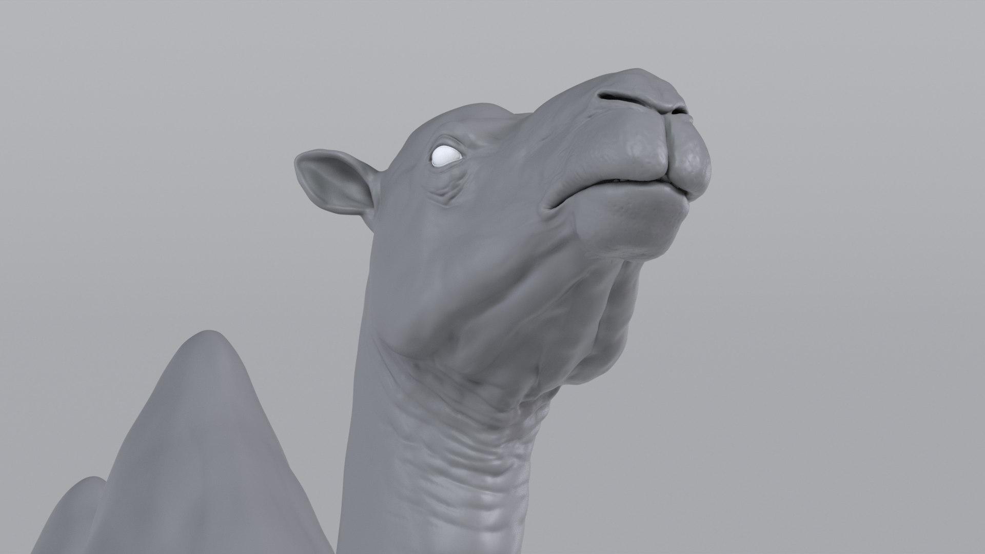 Camel model with muscles and skeleton 3D https://p.turbosquid.com/ts-thumb/FB/usiTV9/kA/camel_tt_0725/png/1787500275/1920x1080/fit_q87/610c984b88db3109122c712b4e8a9c80e273b90a/camel_tt_0725.jpg