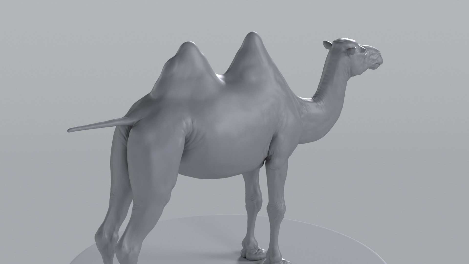 Camel model with muscles and skeleton 3D https://p.turbosquid.com/ts-thumb/FB/usiTV9/ke/camel_tt_0721/png/1787500273/1920x1080/fit_q87/7cee947dcf606105ce0eeaeb9010204fccfb29d4/camel_tt_0721.jpg