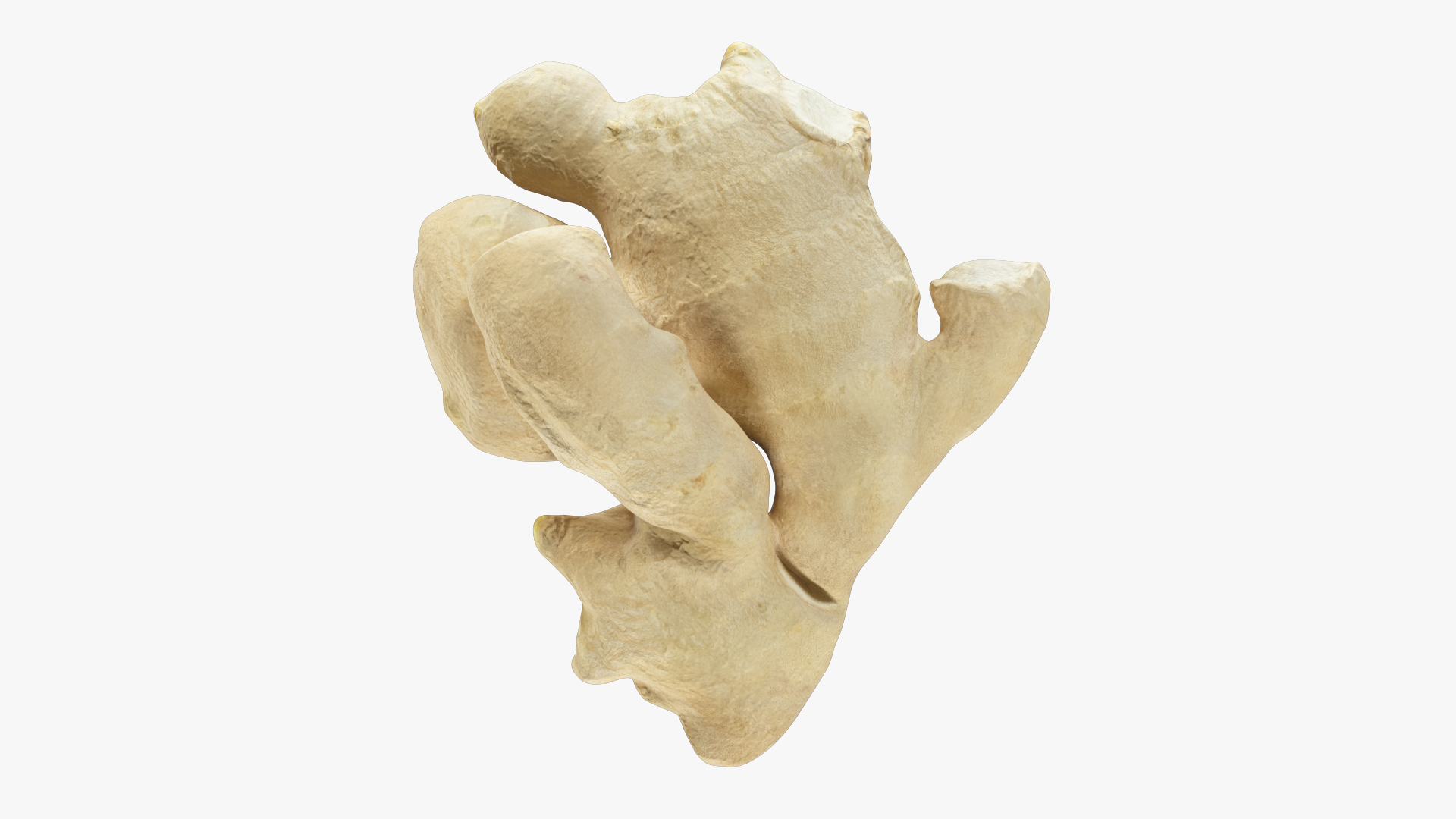 3D Ginger V1 https://p.turbosquid.com/ts-thumb/FB/vxAlWK/c1/g1render/jpg/1707756824/1920x1080/turn_fit_q99/eae1bfd258057ea3193ea07c23e862e6ac174f05/g1render-1.jpg