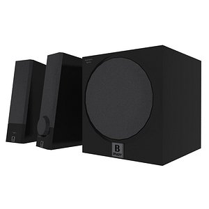 Computer Speakers