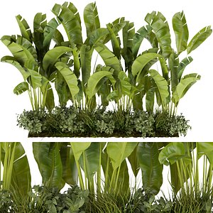 Collection plant vol 289  indoor  leaf  banana - cinema 4d- blender- 3dmax - fbx - obj model
