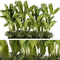 Collection plant vol 289  indoor  leaf  banana - cinema 4d- 3dmax - fbx - obj