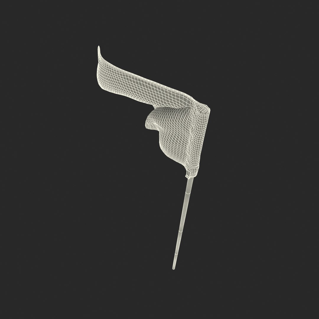 3dsmax golf flag 2 https://p.turbosquid.com/ts-thumb/FC/DljdjF/FkZfCsGF/golfflag3dmodel19/jpg/1429204116/1920x1080/fit_q87/79d370d5a0b9e3fda01af3083b707a208e0d21bd/golfflag3dmodel19.jpg