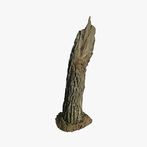 3D Anydrafts Stump 29
