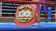 IBF Championship Belt Folded whith Fur
