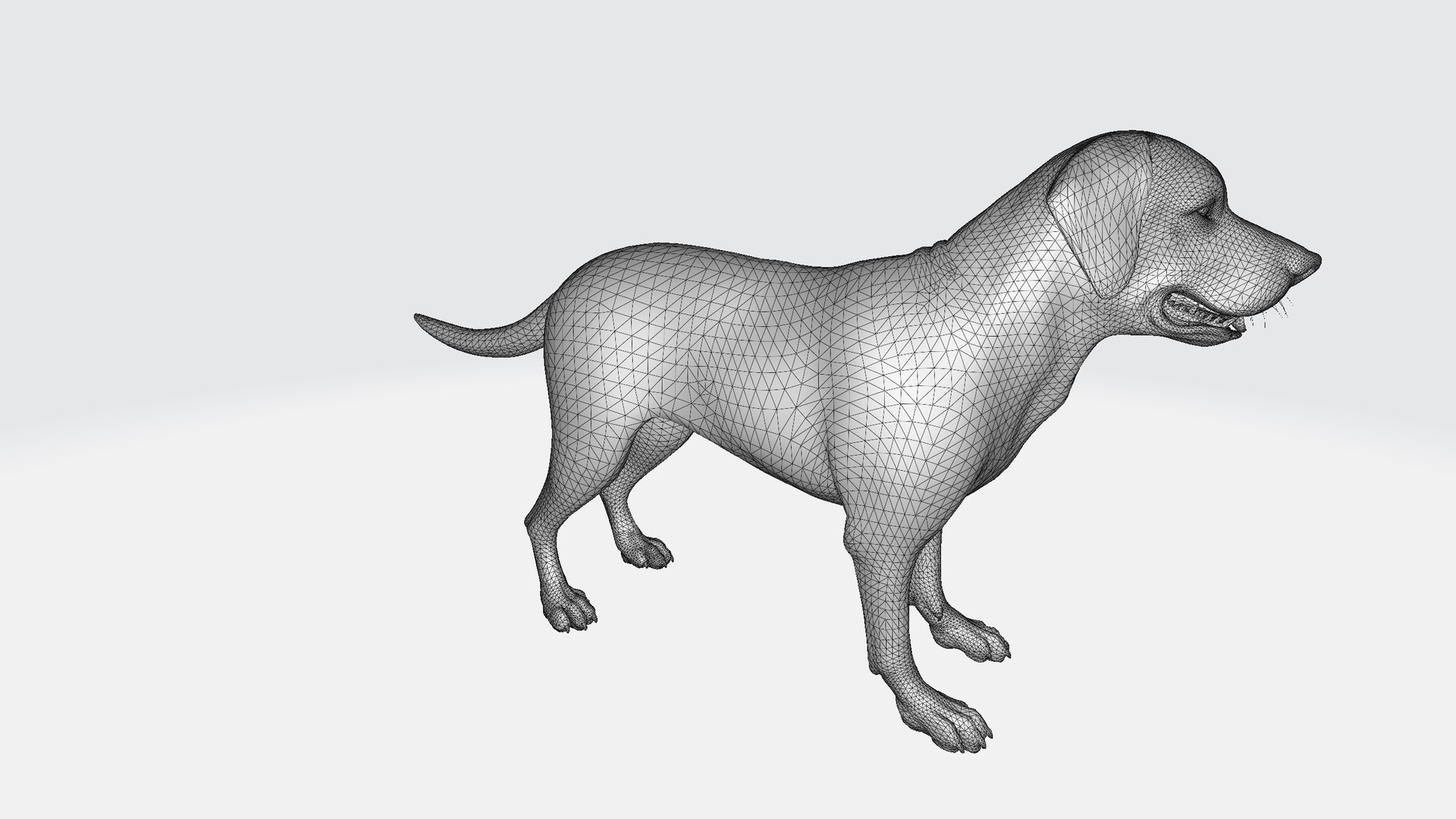 Labrador Retriever 3D Model - TurboSquid 2305643