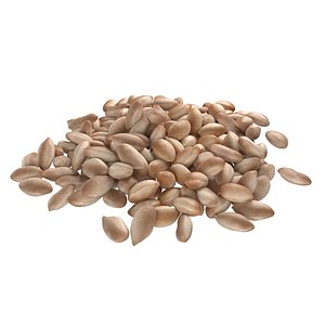 3D Peanut kernel white pile