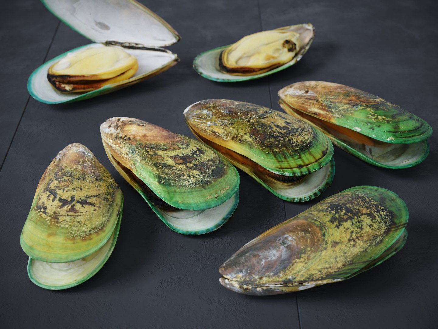 3D Mussel Green Shell - TurboSquid 2103009