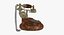 antique rotary dial phone model