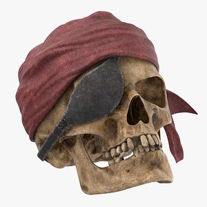 pirate skull 02 model