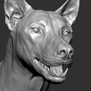 Wolf with Facial Expression