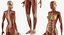 Female Muscular System Anatomy Rigged for Maya 3D Model
