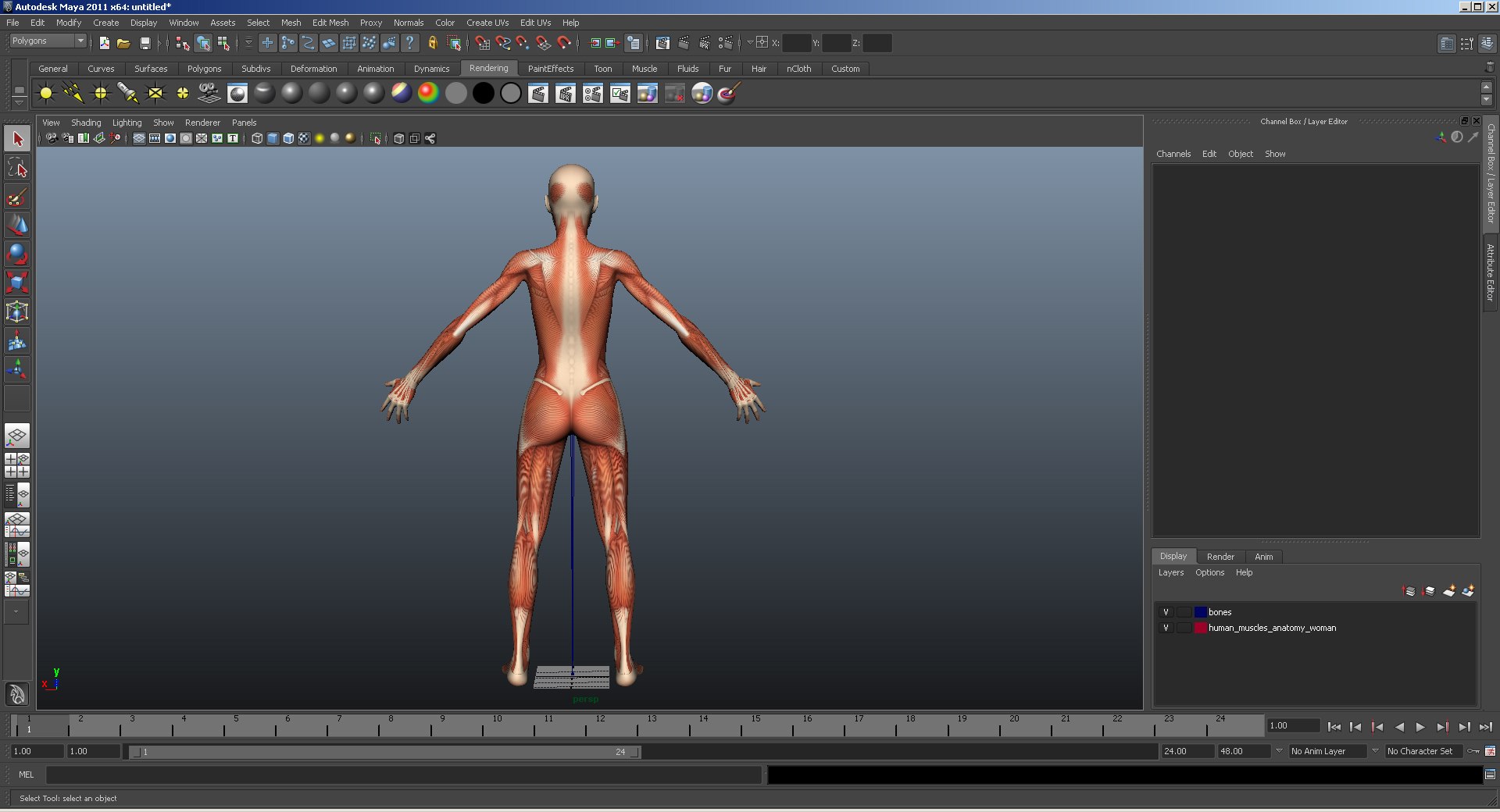 female muscular anatomy rigged model https://p.turbosquid.com/ts-thumb/FD/Ldapww/ie95jskG/female_muscular_system_anatomy_rigged_mb3/jpg/1534223123/1920x1080/fit_q87/c68bfd534ff159c0c734c562b415098bd78076e5/female_muscular_system_anatomy_rigged_mb3.jpg