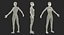 Female Muscular System Anatomy Rigged for Maya 3D Model