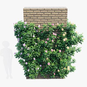 Rose plant set 70 3D