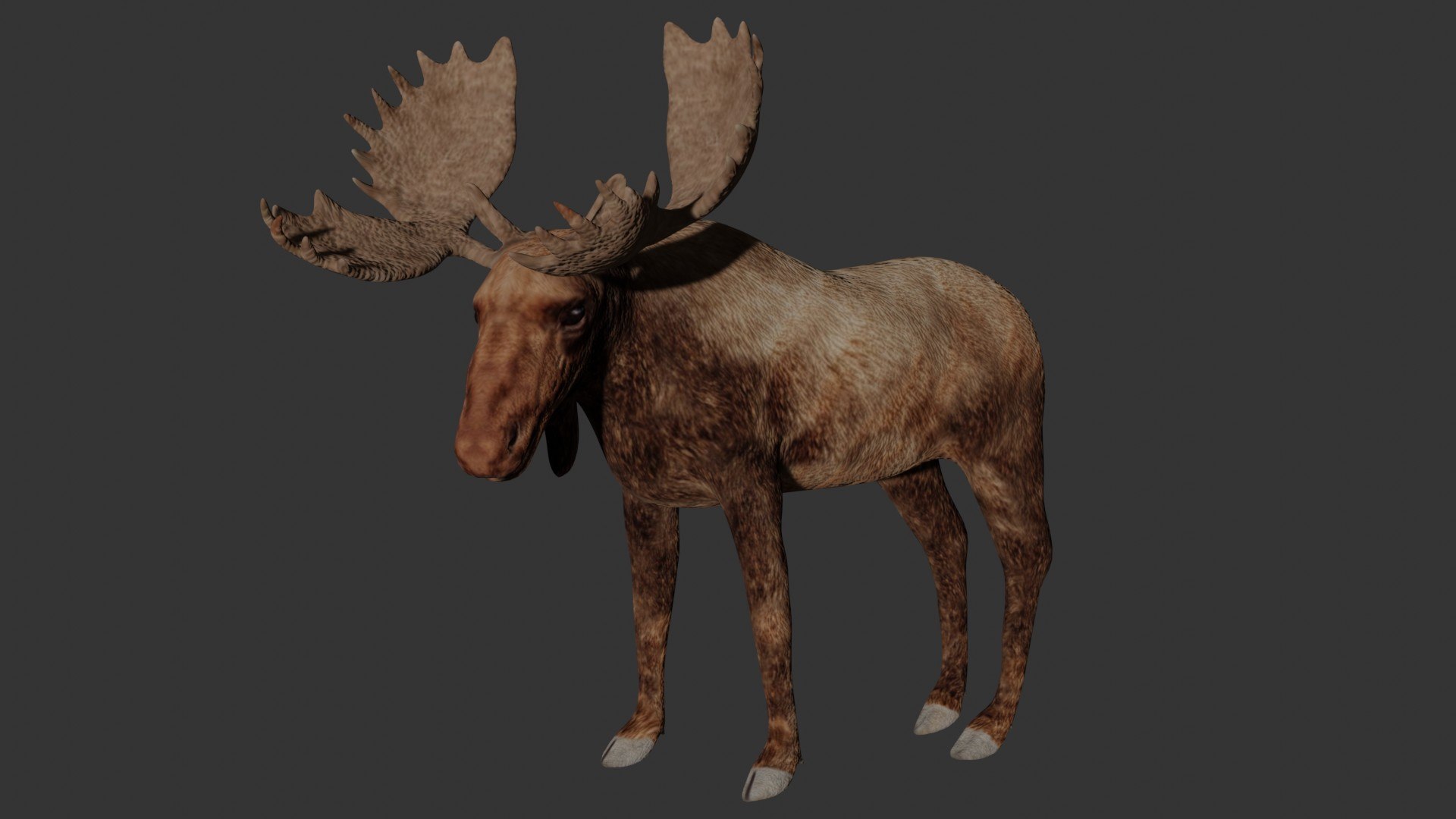 3D Fully Rigged Low Poly Moose Model - TurboSquid 1748770