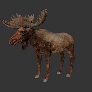 3D Fully rigged low poly Moose model