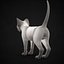 c4d kitten white
