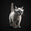 c4d kitten white