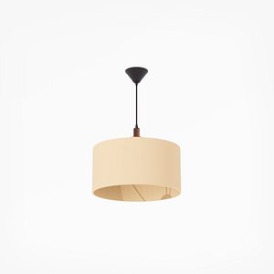 Reception chandelier 3D model